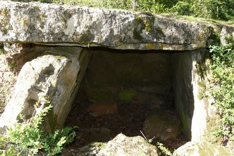 Les dolmens